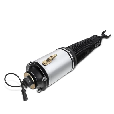 Front Driver Air Suspension Strut