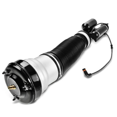 Front Passenger Air Suspension Strut