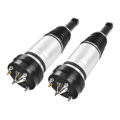 2 Pcs Rear Driver & Passenger Air Suspension Strut