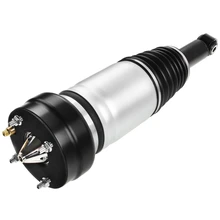 Rear Driver or Passenger Air Suspension Strut