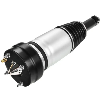 Rear Driver or Passenger Air Suspension Strut