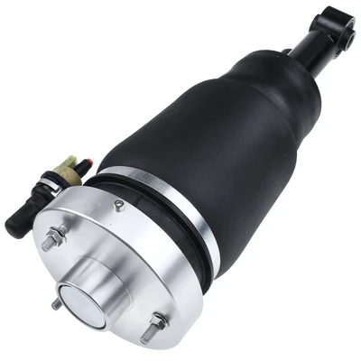 Rear Passenger Air Suspension Strut