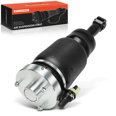 Rear Driver or Passenger Air Suspension Strut Assy