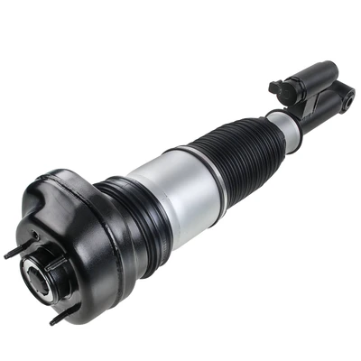 Rear Passenger Air Suspension Strut