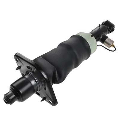 Rear Passenger Air Suspension Strut