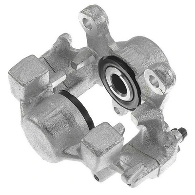 Rear Driver Brake Caliper
