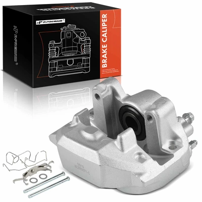 Rear Passenger Disc Brake Caliper