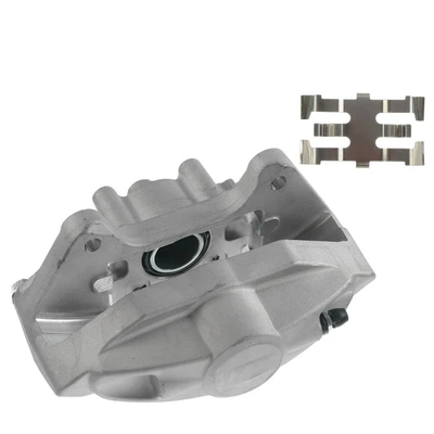 Rear Passenger Brake Caliper
