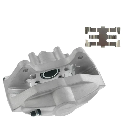 Rear Driver Brake Caliper