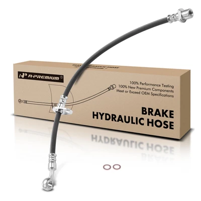 Rear Passenger Brake Hydraulic Hose