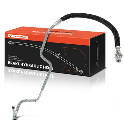 Rear Passenger Brake Hydraulic Hose
