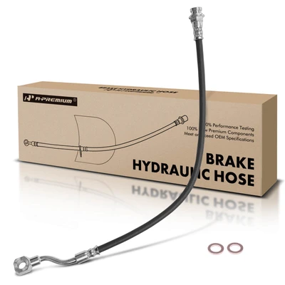 Rear Passenger Brake Hydraulic Hose