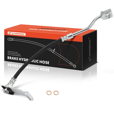 Rear Passenger Brake Hydraulic Hose