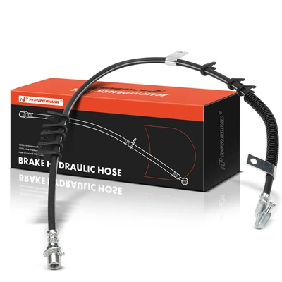 Rear Passenger Brake Hydraulic Hose