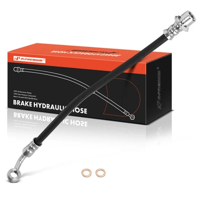 Rear Passenger Brake Hydraulic Hose