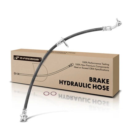 Rear Passenger Brake Hydraulic Hose