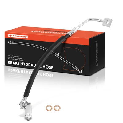 Rear Passenger Brake Hydraulic Hose