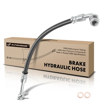 Rear Passenger Brake Hydraulic Hose