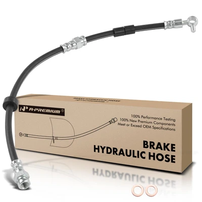 Rear Passenger Brake Hydraulic Hose