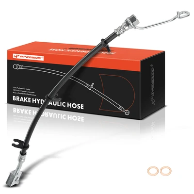 Rear Passenger Brake Hydraulic Hose