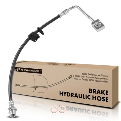 Rear Passenger Brake Hydraulic Hose