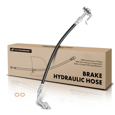 Rear Passenger Brake Hydraulic Hose