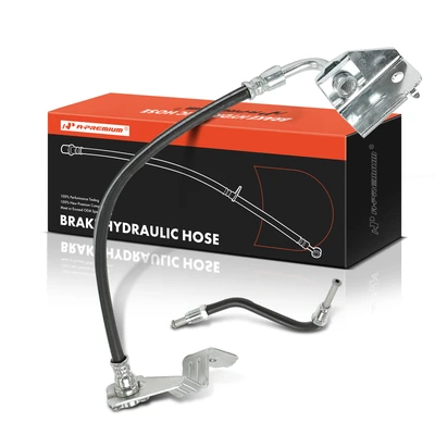 Rear Passenger Brake Hydraulic Hose