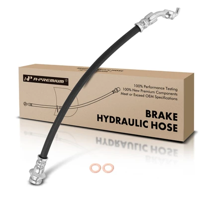 Rear Passenger Brake Hydraulic Hose