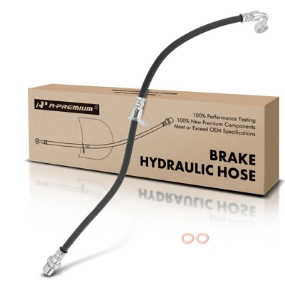 Rear Passenger Brake Hydraulic Hose