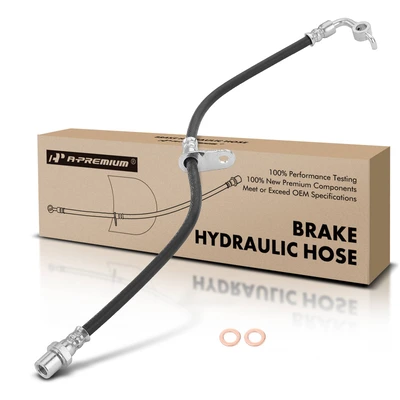 Rear Passenger Brake Hydraulic Hose