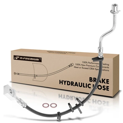 Rear Passenger Brake Hydraulic Hose