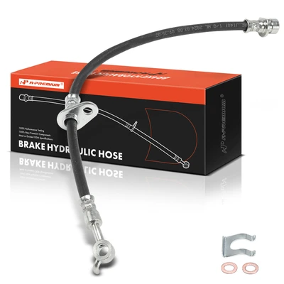 Rear Passenger Brake Hydraulic Hose
