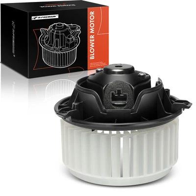 Blower Motor with Cage Wheel