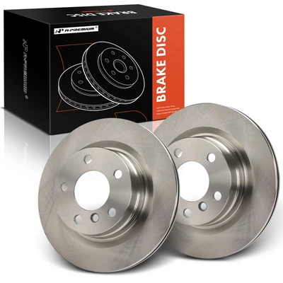 2 Pcs Rear Disc Brake Rotors