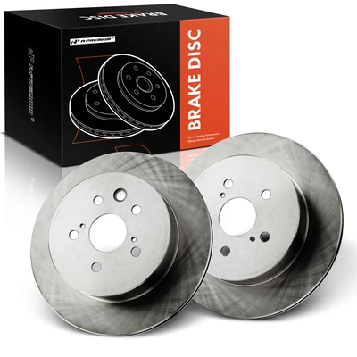 2 Pcs Rear Disc Brake Rotors
