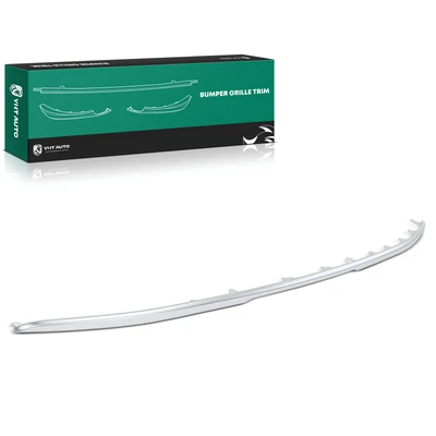 Rear Driver or Passenger Galvano Silver Bumper Molding