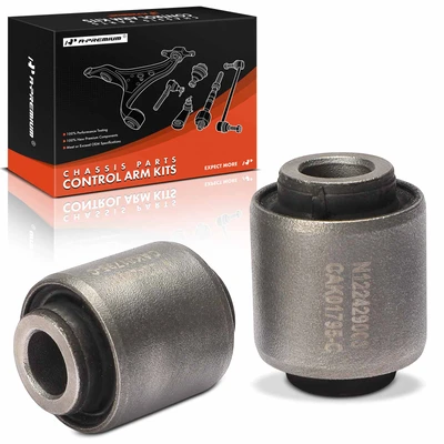 2 Pcs Rear Lower