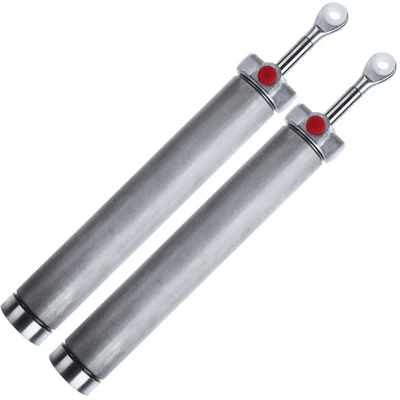 2 Pcs Convertible Top Hydraulic Cylinders