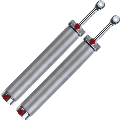2 Pcs Convertible Top Hydraulic Cylinders