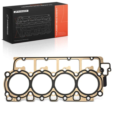 Driver Cylinder Head Gasket