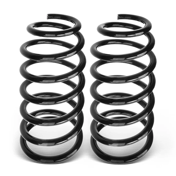2 Pcs Rear Suspension Coil Springs for 2000-2006 Nissan Sentra