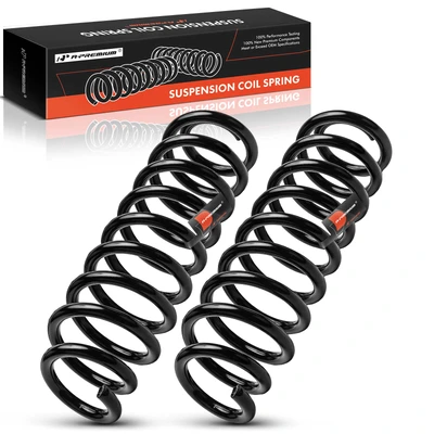 2 Pcs Rear Coil Spring Set