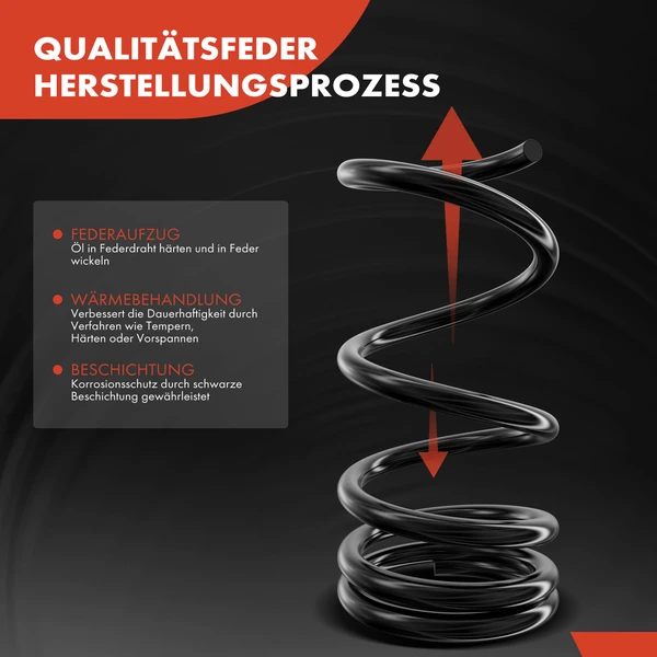 2 Pcs Rear Suspension Coil Springs for Ford Focus 2005-2007 L4 2.0L