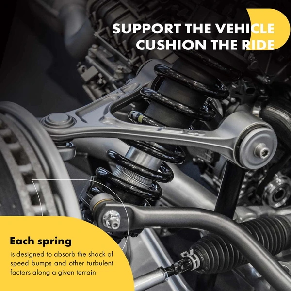 2 Pcs Rear Suspension Coil Springs for Toyota RAV4 2006-2018 2.4L 2.5L 3.5L SUV