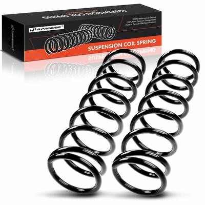 2 Pcs Rear Suspension Coil Springs