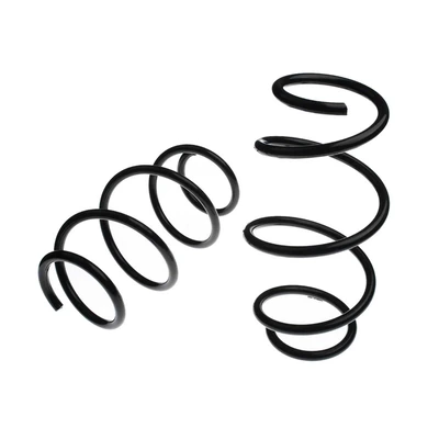 2 Pcs Front Suspension Coil Springs