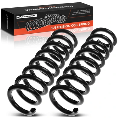 2 Pcs Rear Suspension Coil Springs