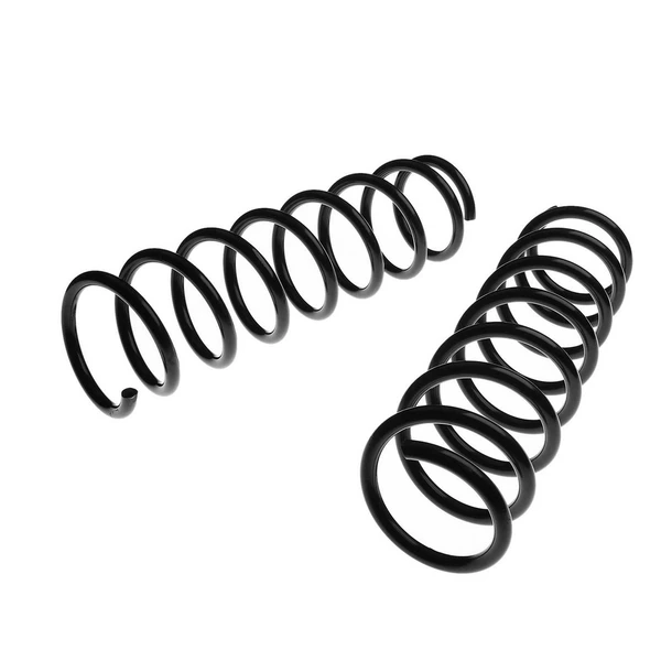 2 Pcs Rear Suspension Coil Springs for 2004-2005 BMW 545i