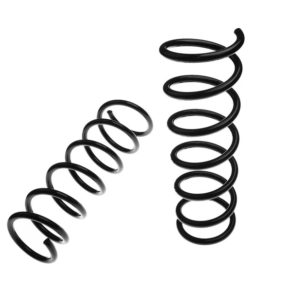 2 Pcs Rear Suspension Coil Springs for BMW E46 645Ci 2004 2005 Coupe