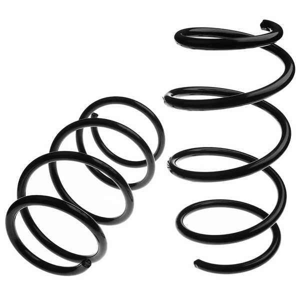 2 Pcs Front Suspension Coil Springs for 2004-2010 BMW X3